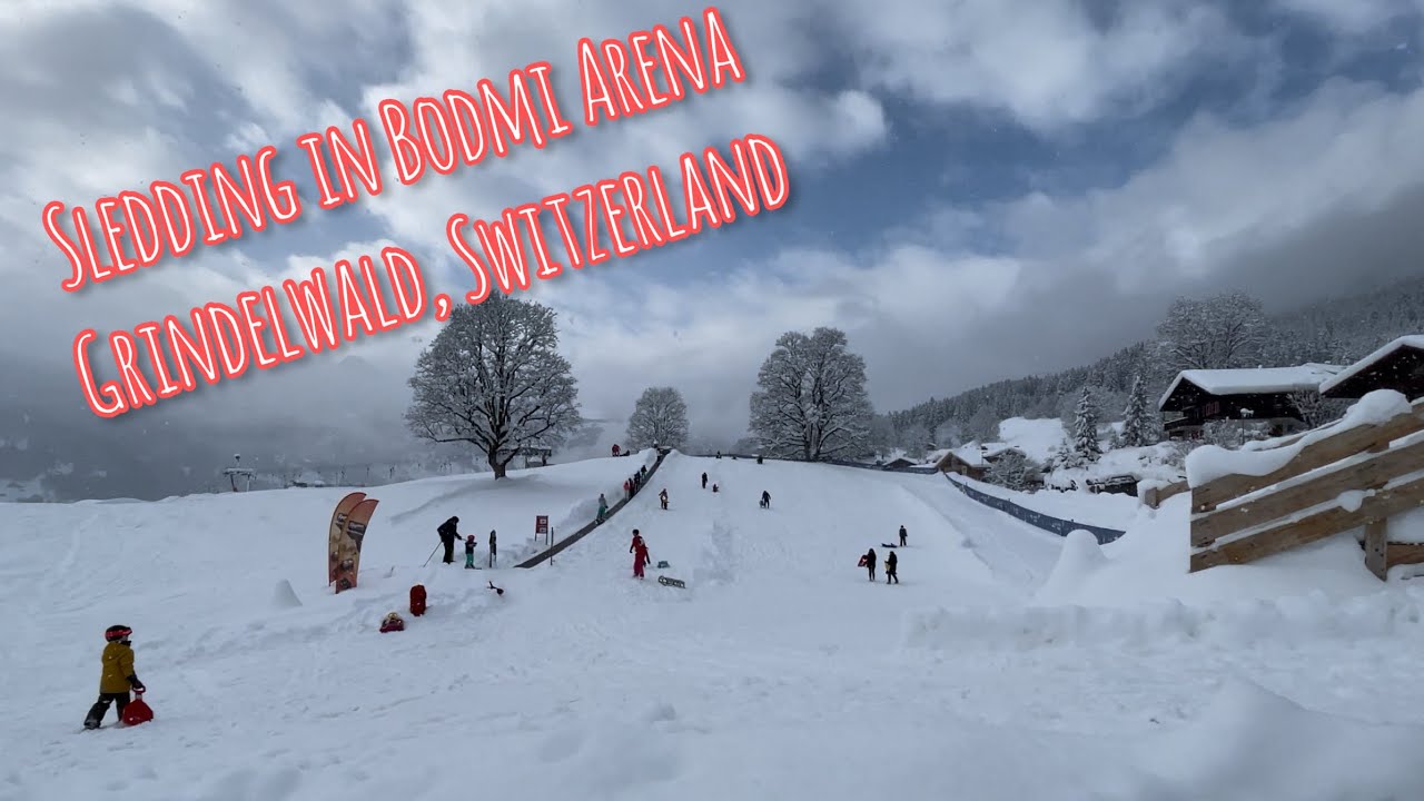 Unleash the thrill and excitement at BodmiARENA!