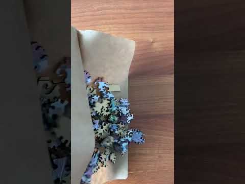 Explore the details and solve the mystery of Quatro City!