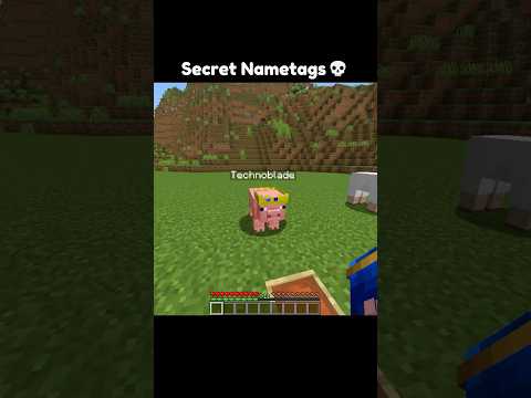 Minecraft Secret Nametags 🤯