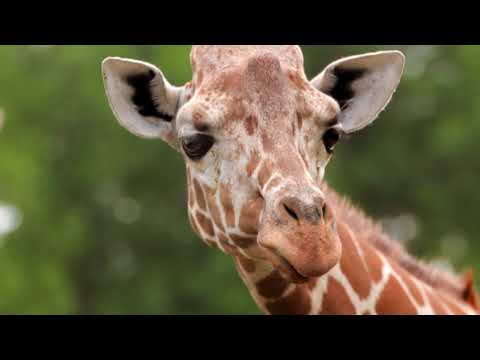 Metro by T-Mobile - Customer Success Story