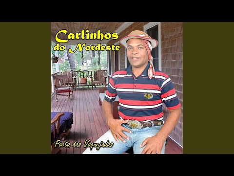 LAMENTO DE UM CAVALO