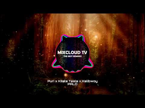 Puri x Kilate Tesla x Kalibwoy  -  Palo Original Mix