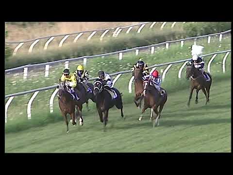 Napoli Galoppo 07/07/2021 - 4ª corsa