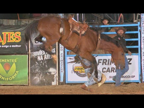 FINAL IN CUTIANO - AURIFLAMA Rodeo 2022