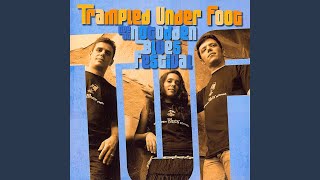 Music video thumbnail preview for Fog by Trampled Under Foot