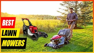 5 Best Lawn Mowers for the Money in 2025