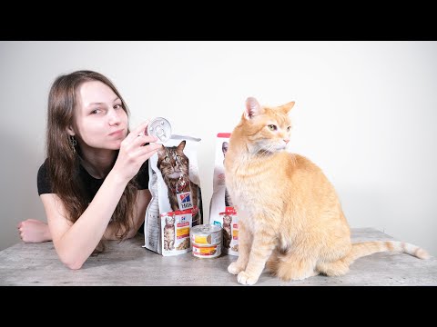 Hill's Science Diet Cat Food Review (We Tested It)