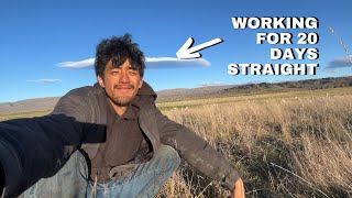 Re: [問卦] 離開家鄉工作不如超商工作？