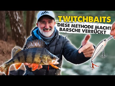 HOW the Twitchbait becomes a TWITCH MACHINE