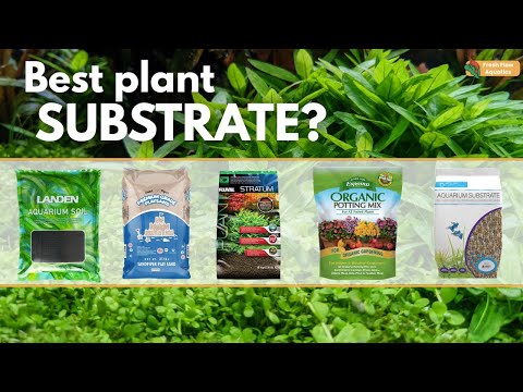 Everything you need to know about aquasoil - The BEST planted tank substrate
