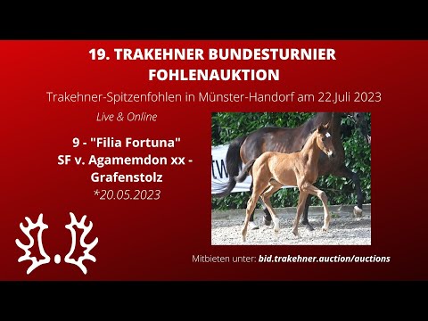 9 - Filia Fortuna - SF v. Agamemdon xx - Grafenstolz *20.05.2023