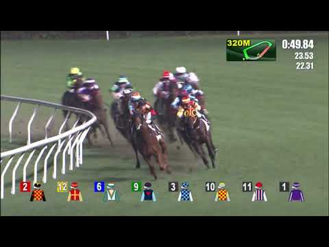 27/4/2022 (619) Valiant Elegance - L Hewitson