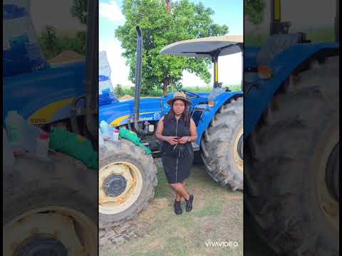 How to apply AGRO-CHEMICALS in SC 727 maize in an environmentally sustainable way...