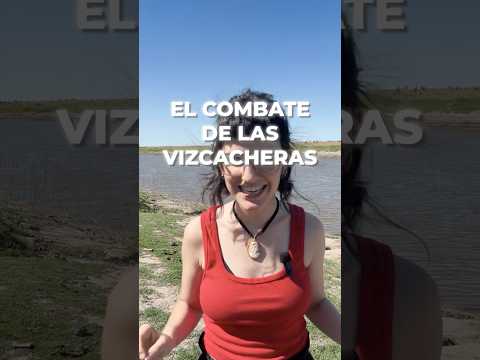 EL COMBATE LAS VIZCACHERAS