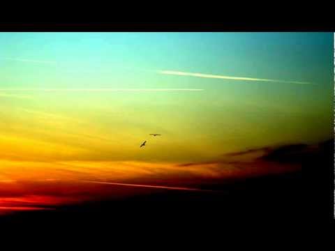 Cadatta - Mr. & Mrs Wrong (the point of living) (2008)