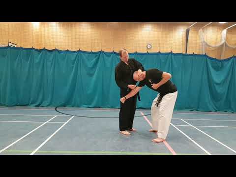 Kata Bunkai Kushanku & Bassai / Passai