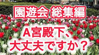 園遊会 総集編  A宮殿下、大丈夫ですか ?