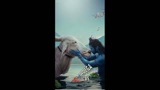 Coming Soon Maha Shivratri Status 2022| Mahashivratri WhatsApp Status | Shivratri Status Video 2022