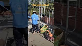 Biện pháp tô tường giáp nhà hiện hữu