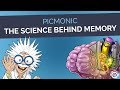 Nursing student success by using visuals and mnemonics: Black Friday
Deals on Picmonic!