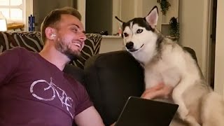 Miniature vidéo