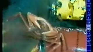 [問卦] 游泳池底的排水孔蓋破掉 會被吸住嗎