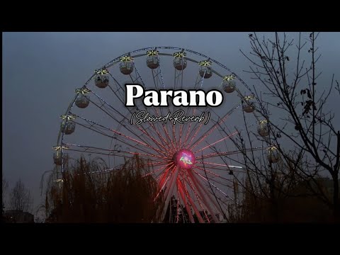 Parano (Slowed+Reverb) | Error 98 | late night vibes |