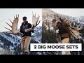 TWO MORE BIG MOOSE SETS! 2026 Utah Shed Hunt