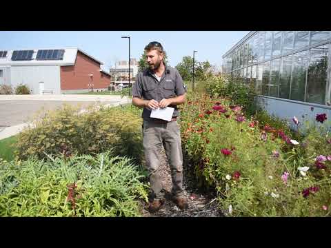 The Polyculture Gardens at the Kalamazoo Valley's Food Innovation Center