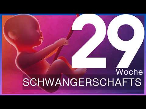 29. Schwangerschaftswoche: Wie du dich und dein Baby optimal vorbereitest | Update 29 SSW – SSW29
