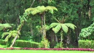 Kebun Raya Eka Karya also known as Bali Botanic Garden for botanical research and recreation