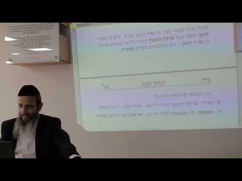 שבת 27 תחום שבת