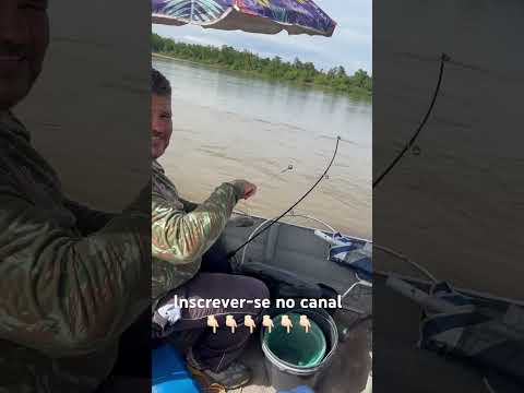 Rio Araguaia Aruanã Goiás #pescaria #youtubeshorts #pesca #shorts #barbado