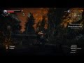 The Witcher 3: Wild Hunt #06 - Лихо у колодца 