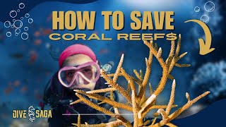 Broken Corals Can Help SAVE The Reef