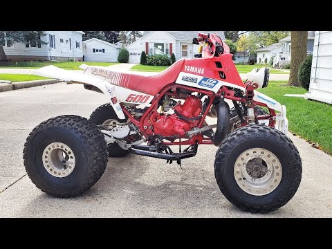 The Quadzilla Banshee Quad (500cc Monster)
