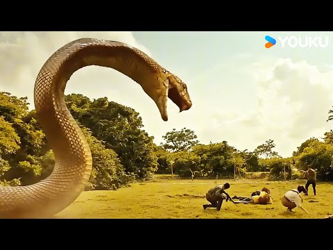 🐍😠Il Cobra Reale osserva attentamente, pronto a colpire! | Jurassic Revival | YOUKU MONSTER MOVIE