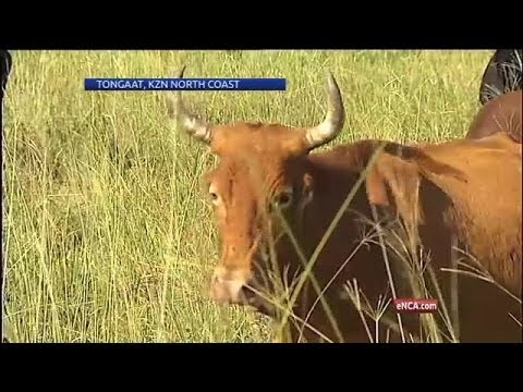 Trying times for farmers as Hulett strike intensifies