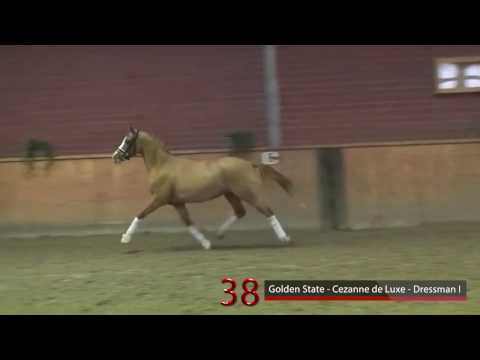 38 Golden State - Cezanne de Luxe - Dressman I