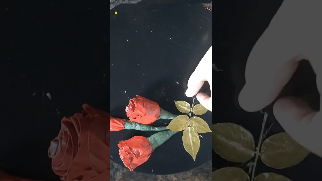 24 August 2023   .The Aspire Gallery.