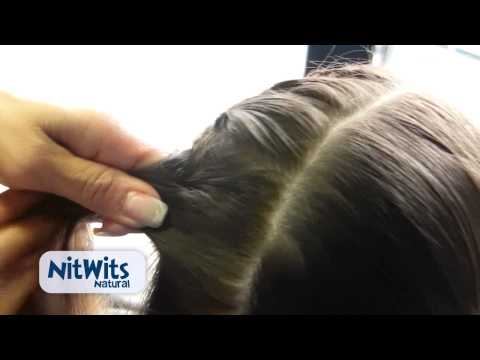 Head Lice Prevention Video_Twin Braid.mov