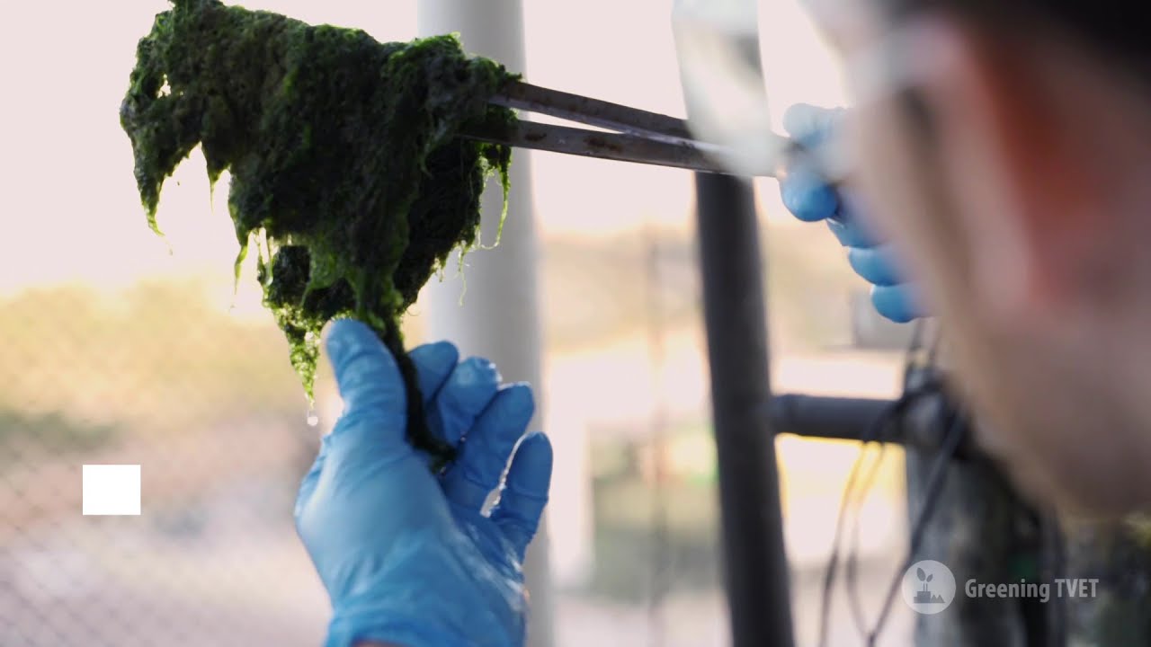 BILT | Greening TVET