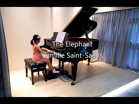 The Elephant | Camille Saint Saëns | ABRSM Grade 3 OC
