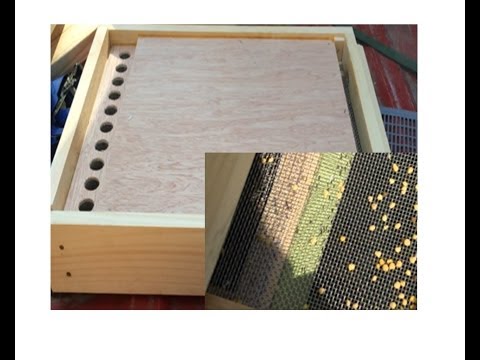 Sundance Pollen Trap - Quick Overview and Install