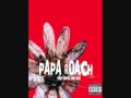 Papa Roach - Naked in Front of the Computer