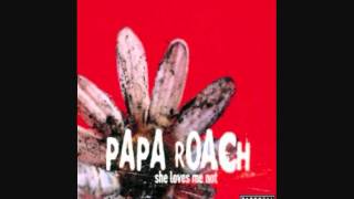 Papa Roach - Naked in Front of the Computer