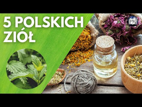 5 NAJBARDZIEJ LECZNICZYCH ZIÓŁ W POLSCE - PODZIEMNY ZIELNIK