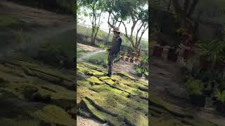 VIDEO GRAMA