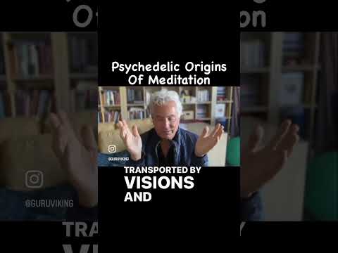 Psychedelic Origins of Meditation