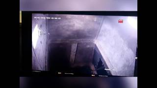Download lagu suara walet mp3 Download lagu suara walet mp3
